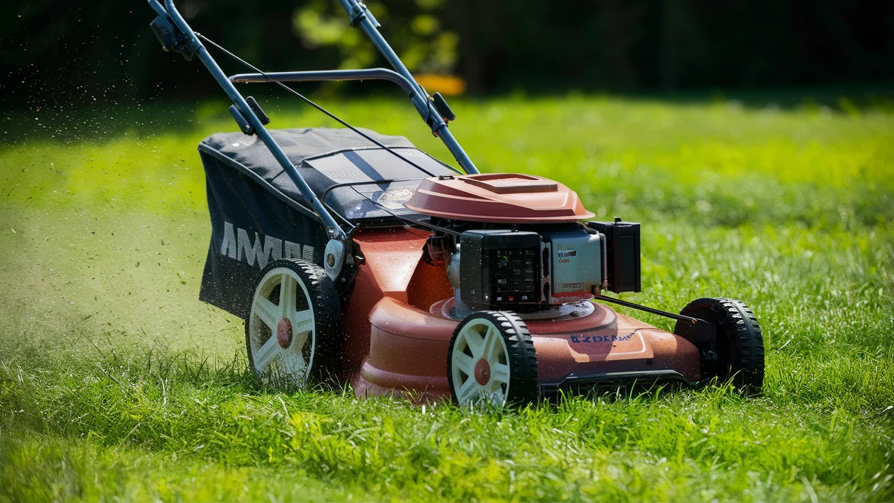 The Mexican Lawnmower: Revolutionizing Lawn Care  Advantage